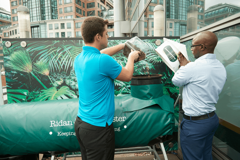 2020_RBS_Sustainability_01